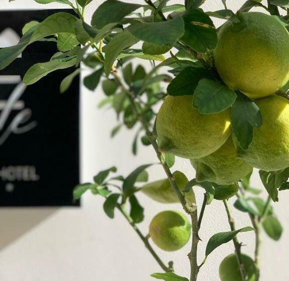 酒店 Re Sale Boutique