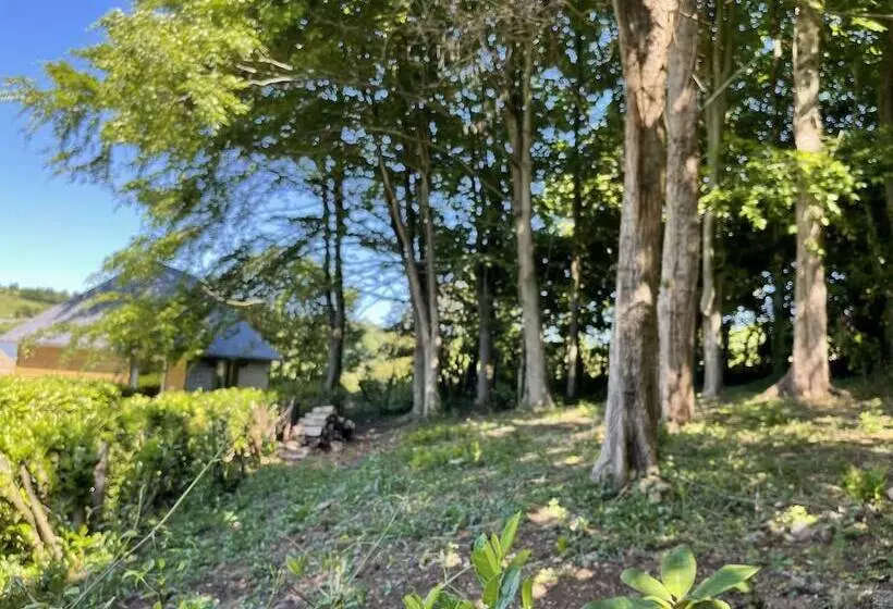 ペンション La Fontaine Romy