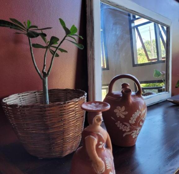 פנסיון Pousada Terra Coral