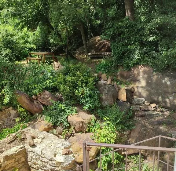 Majatalo Un Pied Dans La Forêt