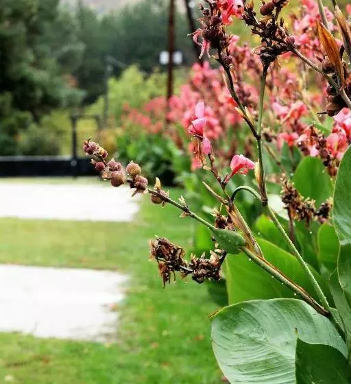 پانسیون Vilas Ambasador Bratin Dol