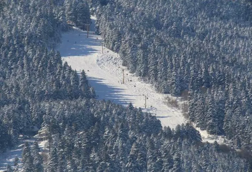 پانسیون Vilas Ambasador Bratin Dol