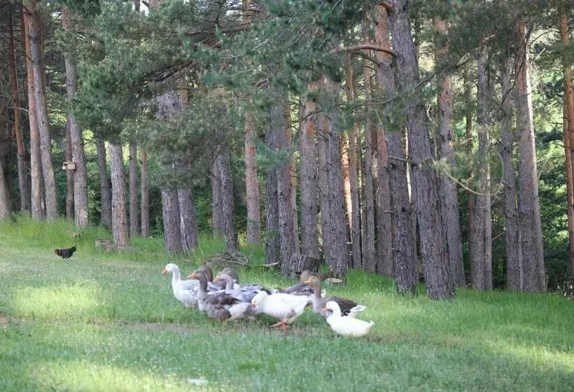 پانسیون Vilas Ambasador Bratin Dol