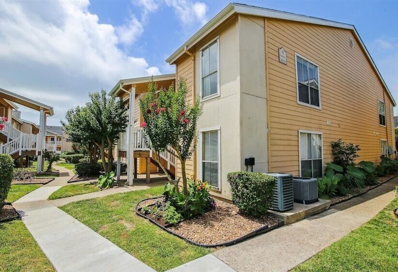 Palms At Cove View 1704 Glowing Fun