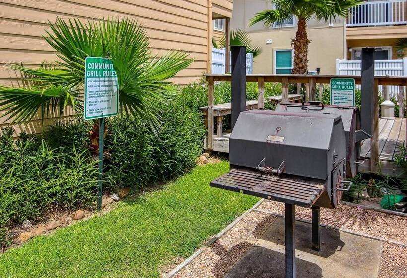 Palms At Cove View 1704 Glowing Fun