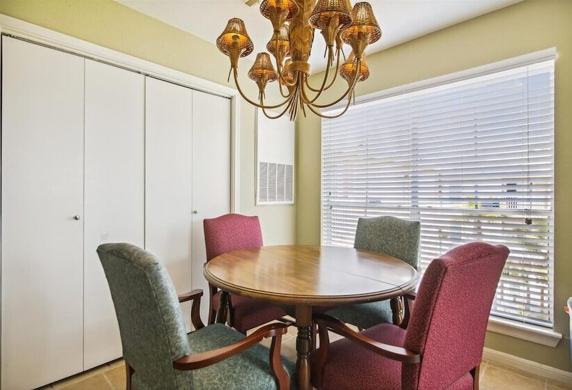 Palms At Cove View 1704 Glowing Fun