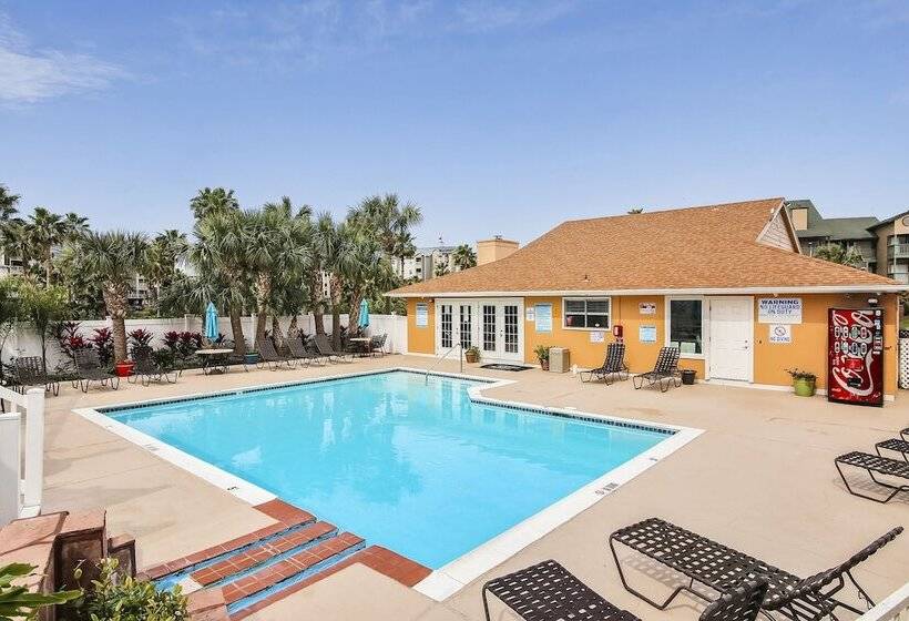 Palms At Cove View 1704 Glowing Fun