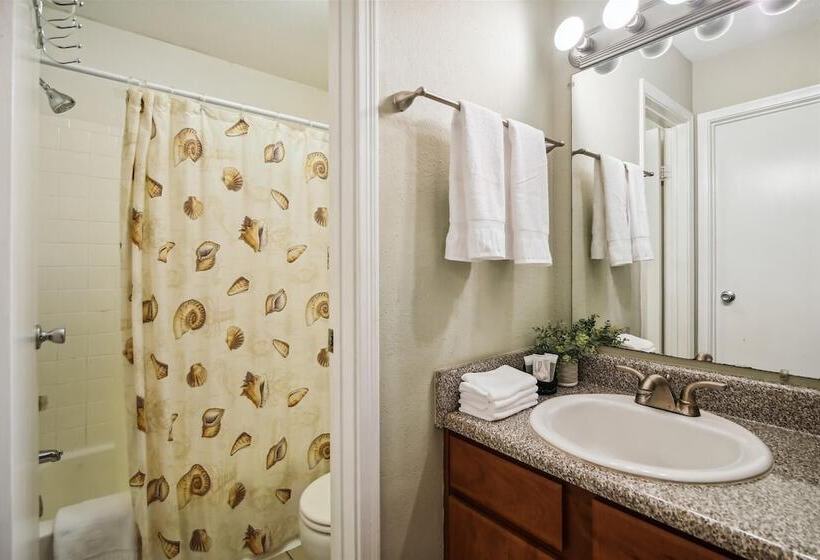 Palms At Cove View 1704 Glowing Fun