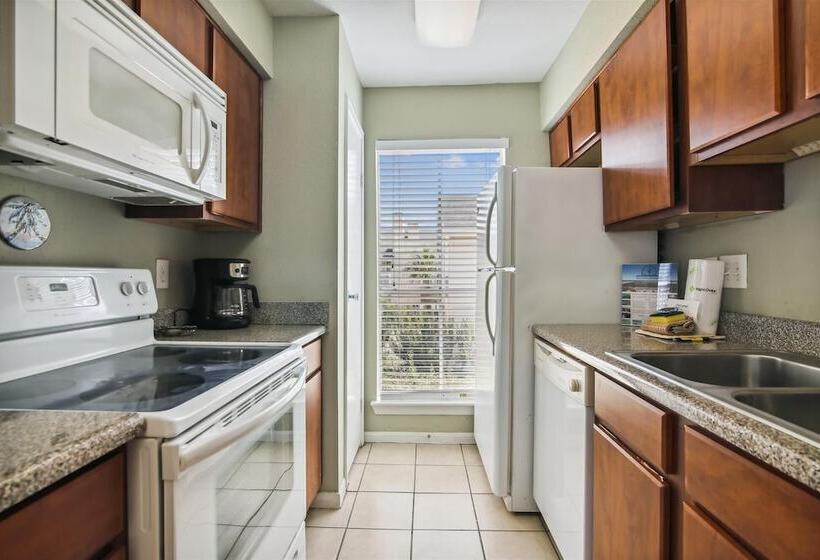 Palms At Cove View 1704 Glowing Fun