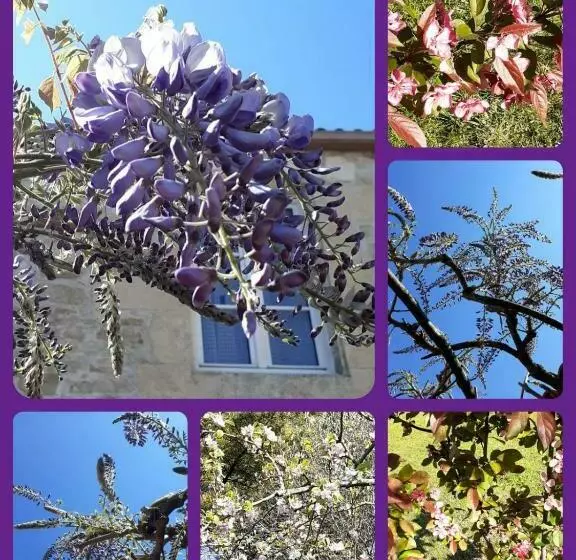 ペンション L Heureux Lay