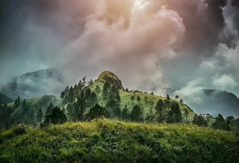 ホテル The Capoe House