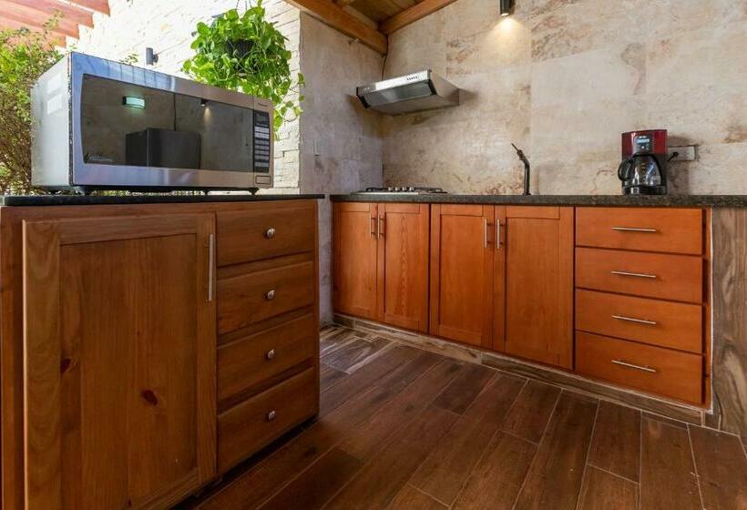 پانسیون Room In Guest Room Nice 1br 1bt With Common Picuzzi