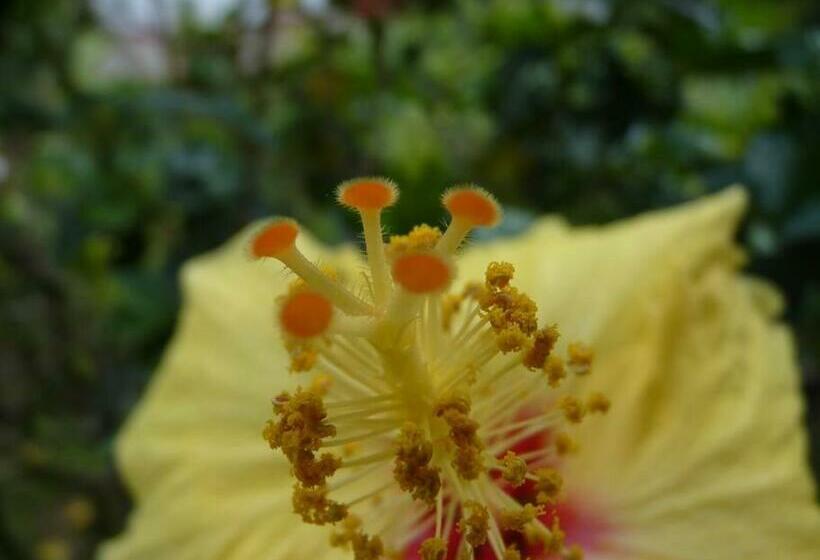 צימר Glamping Y Cabañas Travel Experiences