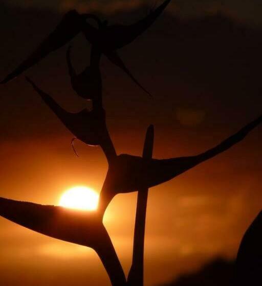 צימר Glamping Y Cabañas Travel Experiences