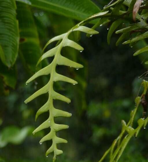 צימר Glamping Y Cabañas Travel Experiences