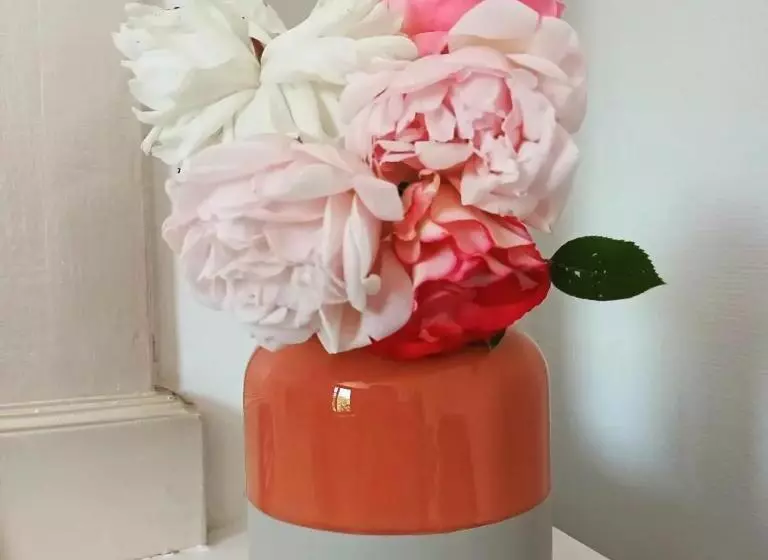 Aamiaismajoitus (B&B) Chambres D Hôtes Le Veilleur De Noblat