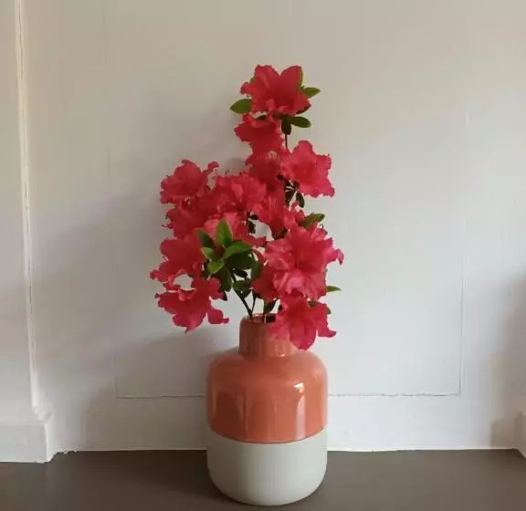 Aamiaismajoitus (B&B) Chambres D Hôtes Le Veilleur De Noblat