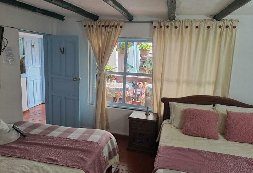 Sanmiguelavilla Hotels Vdl