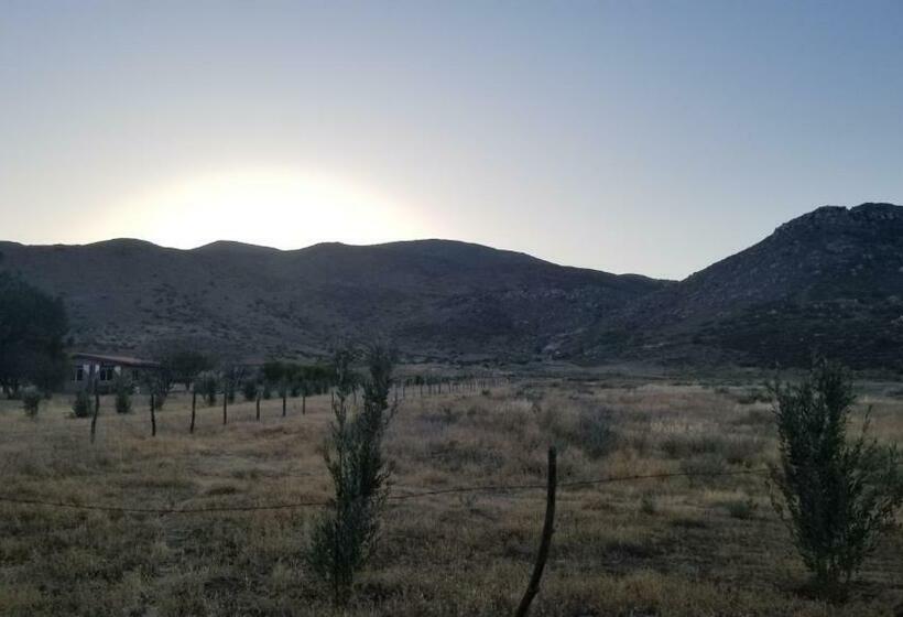 Cabañas Los Laureles Ruta Del Vino Bc