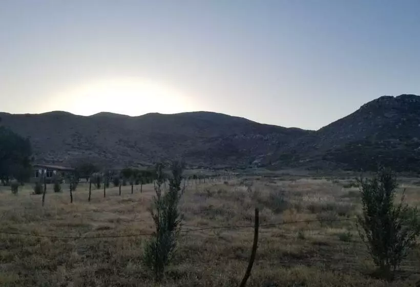 Cabañas Los Laureles Ruta Del Vino Bc