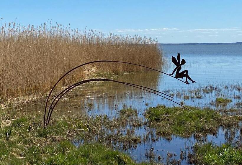 فندق Haus Schwalbe Mit Vineta Komfort Häusern