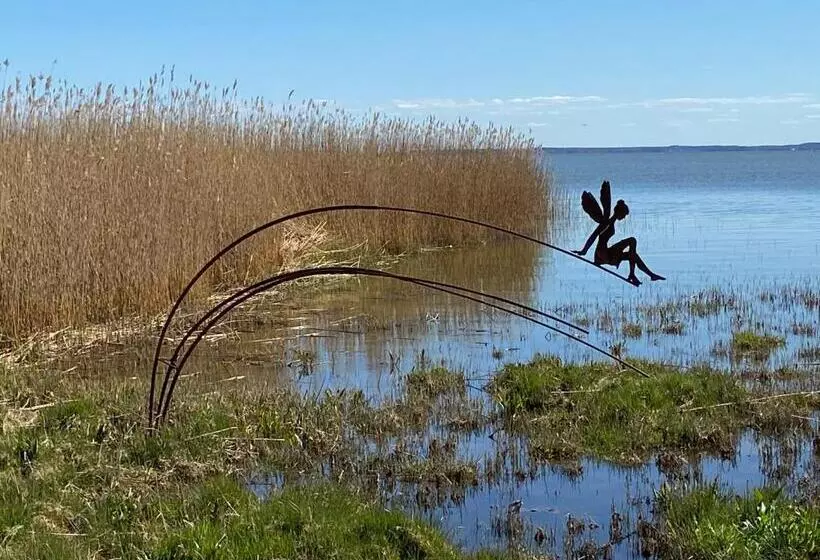 Hotelli Haus Schwalbe Mit Vineta Komfort Häusern