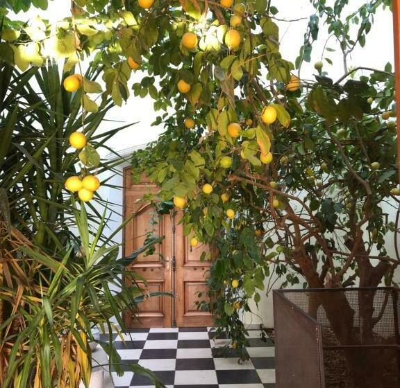 بنسيون Bastide Du Defends