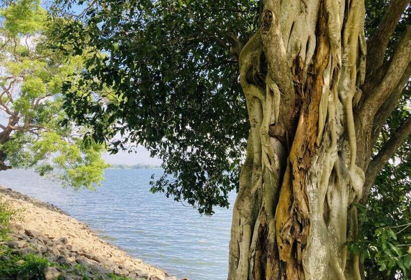 هاستل Nugasewana Guest