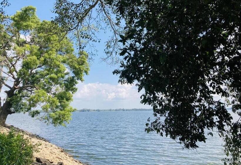 هاستل Nugasewana Guest