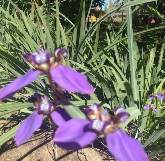 הוסטל Pousada Campestre Inn