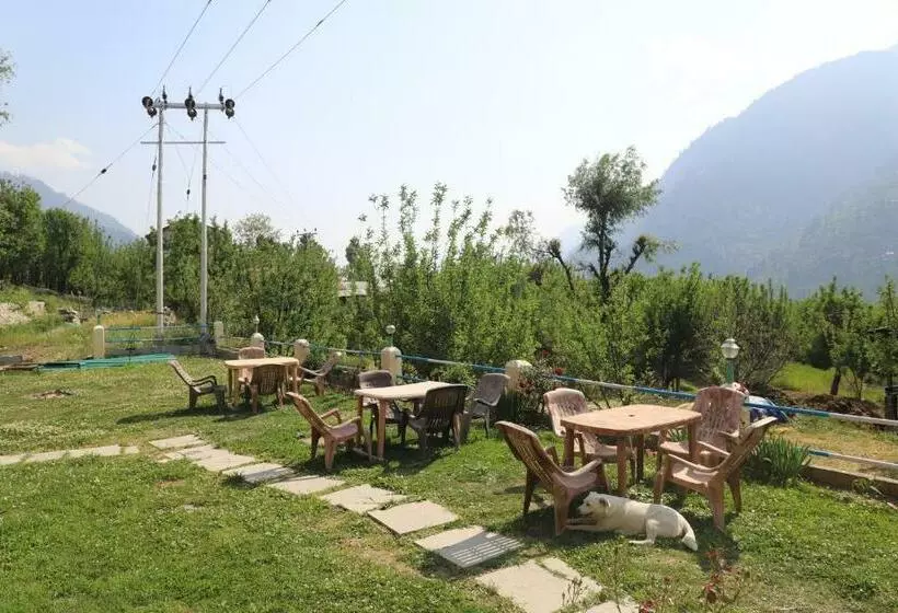 Indian Backpackers Hostel