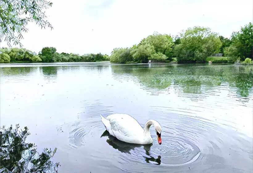 The Lake House, Woking