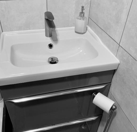 The Lake House, Woking