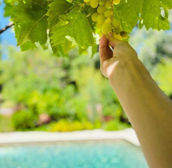 צימר Chambre D’hôte Charlambias