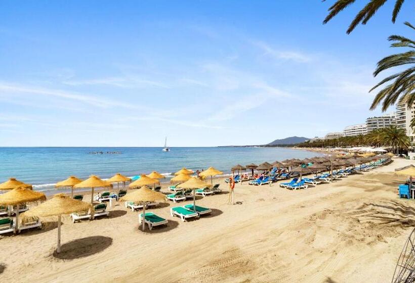 Cozy Beach Apartment