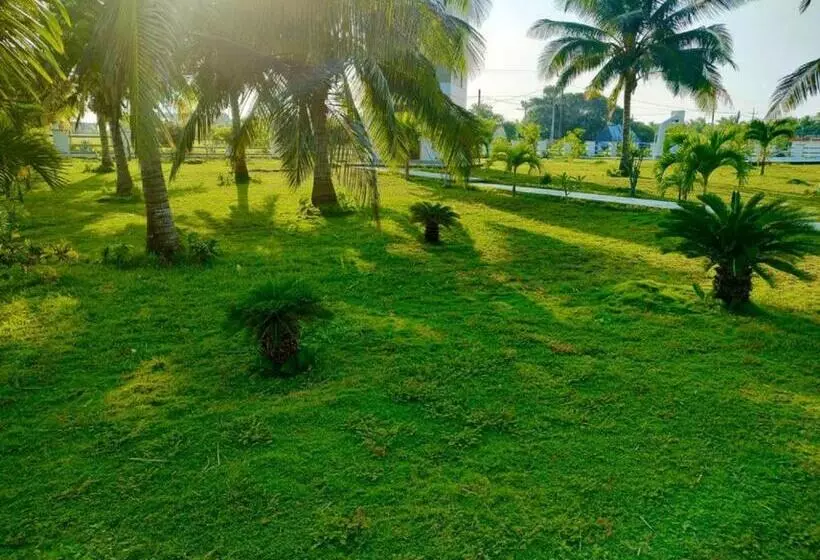 Mikipi Hotel Boutique