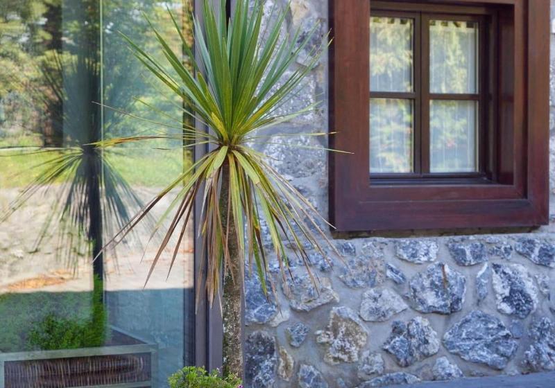 בית מלון כפרי Antsotegi