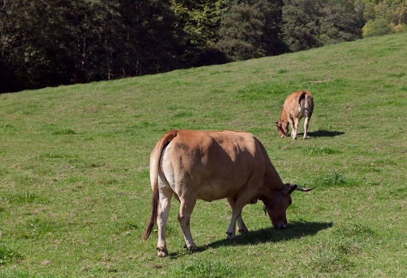 בית מלון כפרי Antsotegi