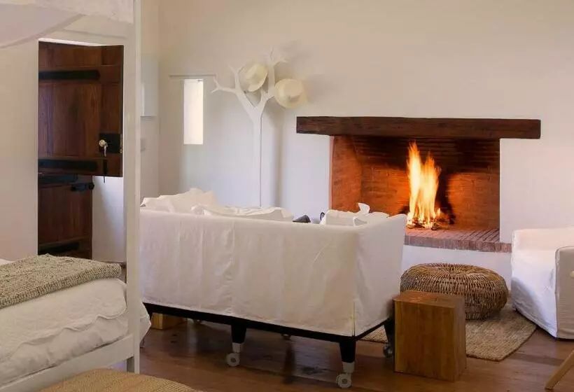 فندق Babylonstoren