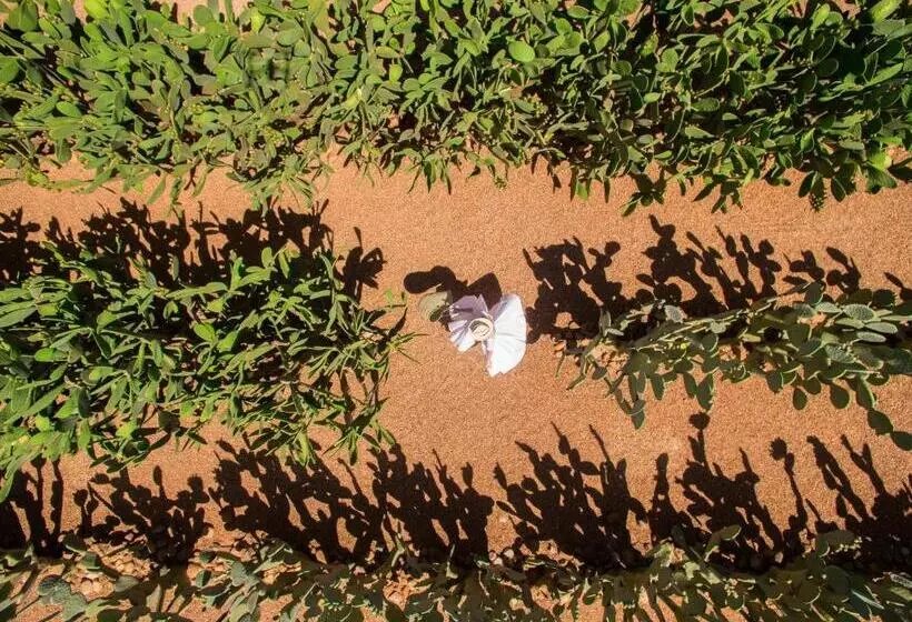 فندق Babylonstoren