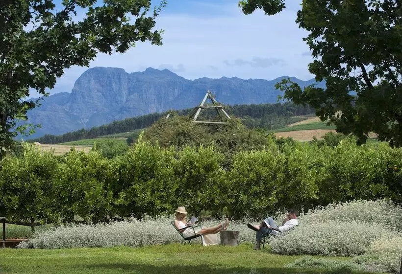 فندق Babylonstoren