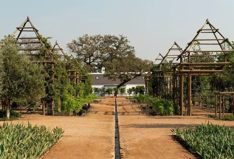 فندق Babylonstoren