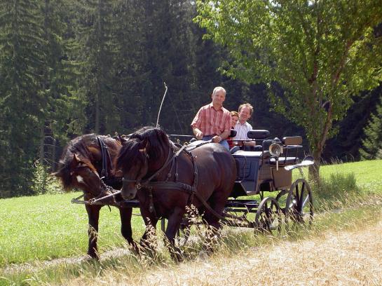 Verwöhnbauernhof im Mühlviertel