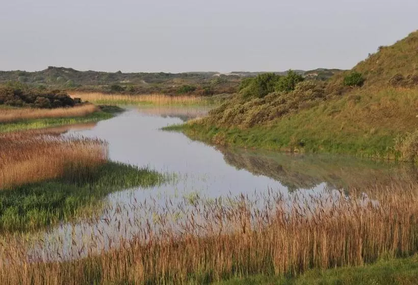هتل Boutique Lodge Zandvoort