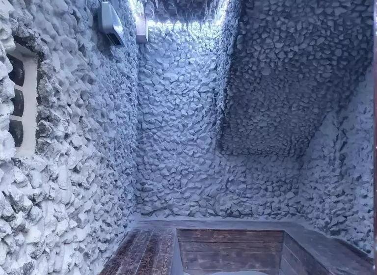 هتل Coroana Moldovei