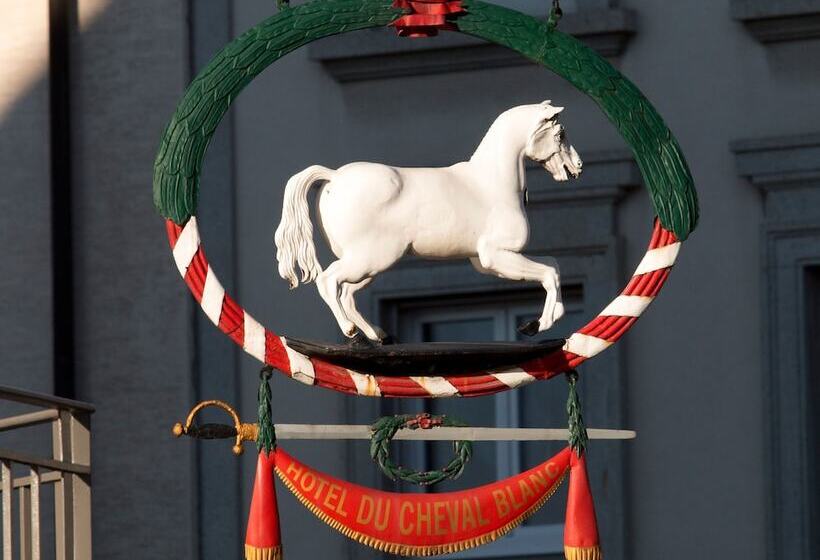 هتل Hôtel Du Cheval Blanc   City Center
