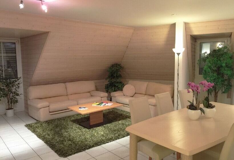 هتل Hôtel Du Cheval Blanc   City Center