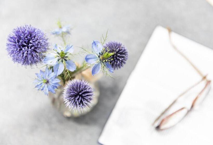 בית מלון כפרי Meisser Romantica Adults Only