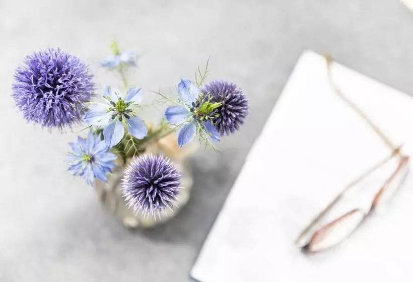 ホテル Meisser Romantica Adults Only