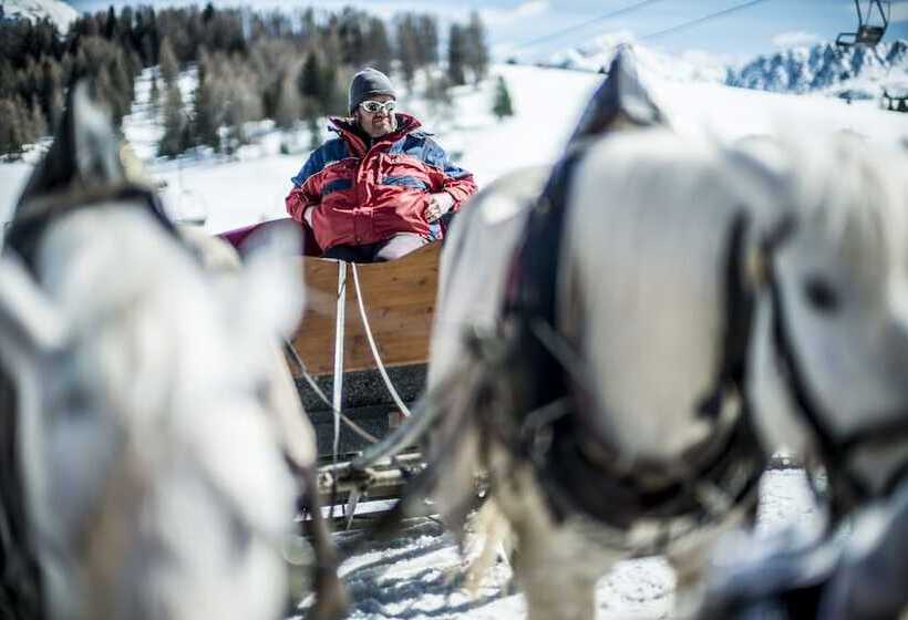 בית מלון כפרי Platz